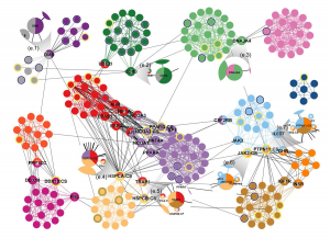 Protein-protein-interaction network comprising 1,253 weighted interactions between 232 proteins.