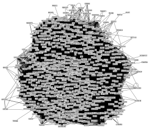 Gene co-expression network comprising 711 genes and 74,373 relationships.