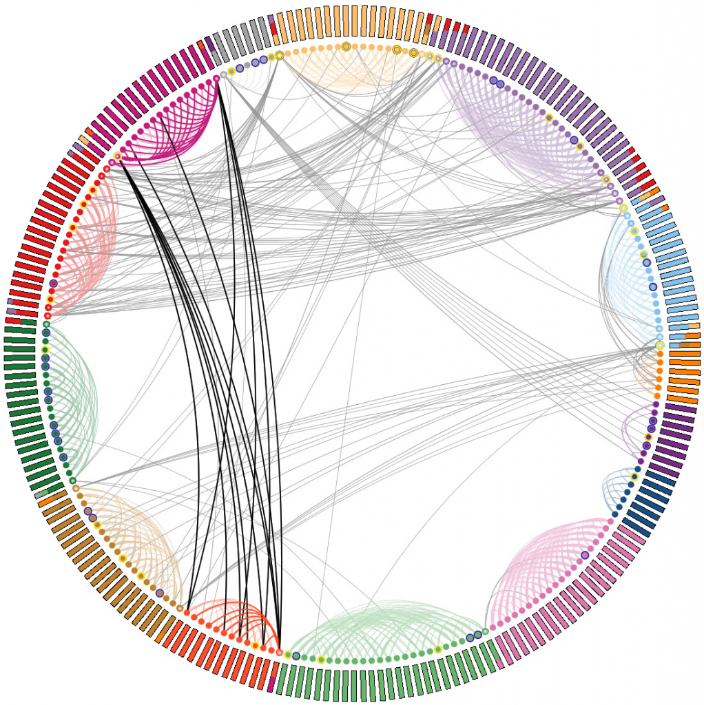 Proteinproteininteraction network shown with the circular layout